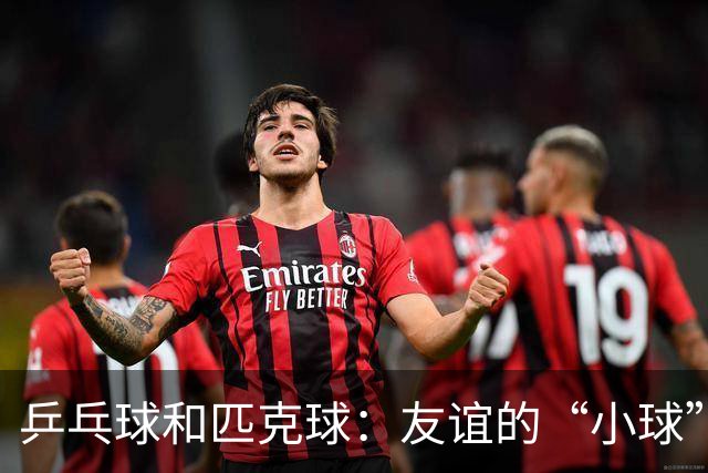 乒乓球和匹克球：友谊的“小球”大行动！